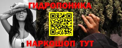 прущие крисы Абакан