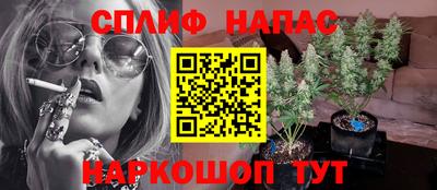 стафф Абинск